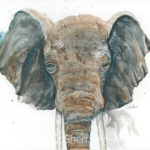 African Grey Watercolor